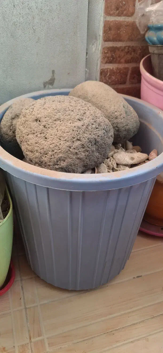 بستر تزیینی|ماهی|زاهدان, |دیوار