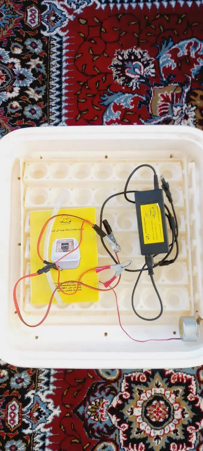 دستگاه جوجه کشی|لوازم جانبی حیوانات|اردبیل, |دیوار