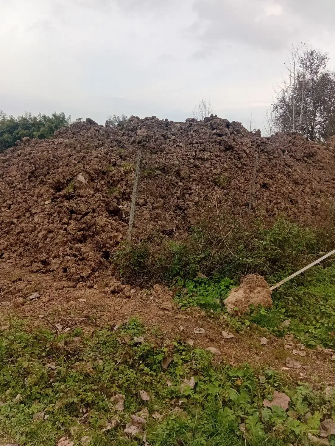 خاک مرغوب باغی|خدمات باغبانی و درختکاری|سنگر, |دیوار