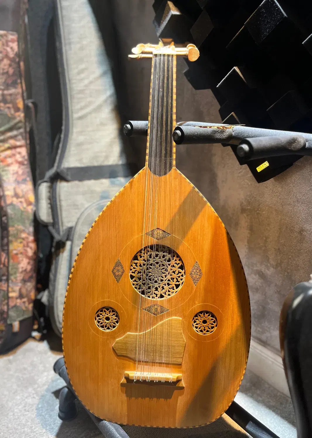 عود عابدینی حرفه ای|سازهای سنتی|گرگان, |دیوار