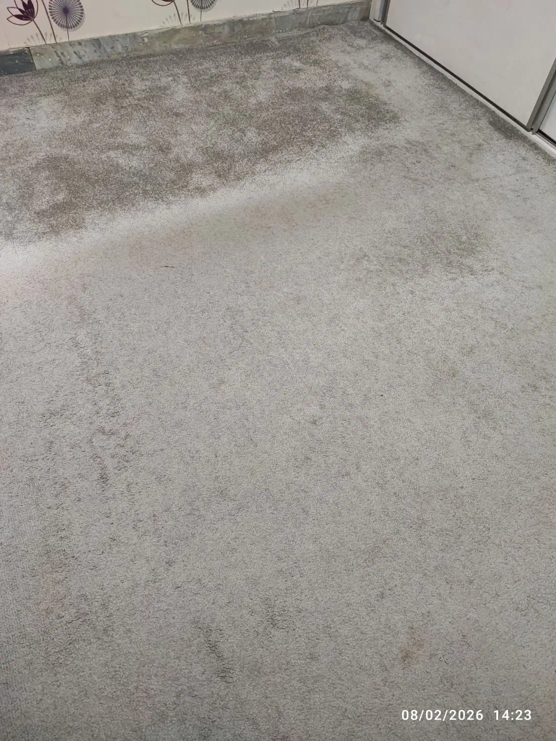 پروژکتور..  موکت|تلویزیون و پروژکتور|کرج, کوی زنبق|دیوار