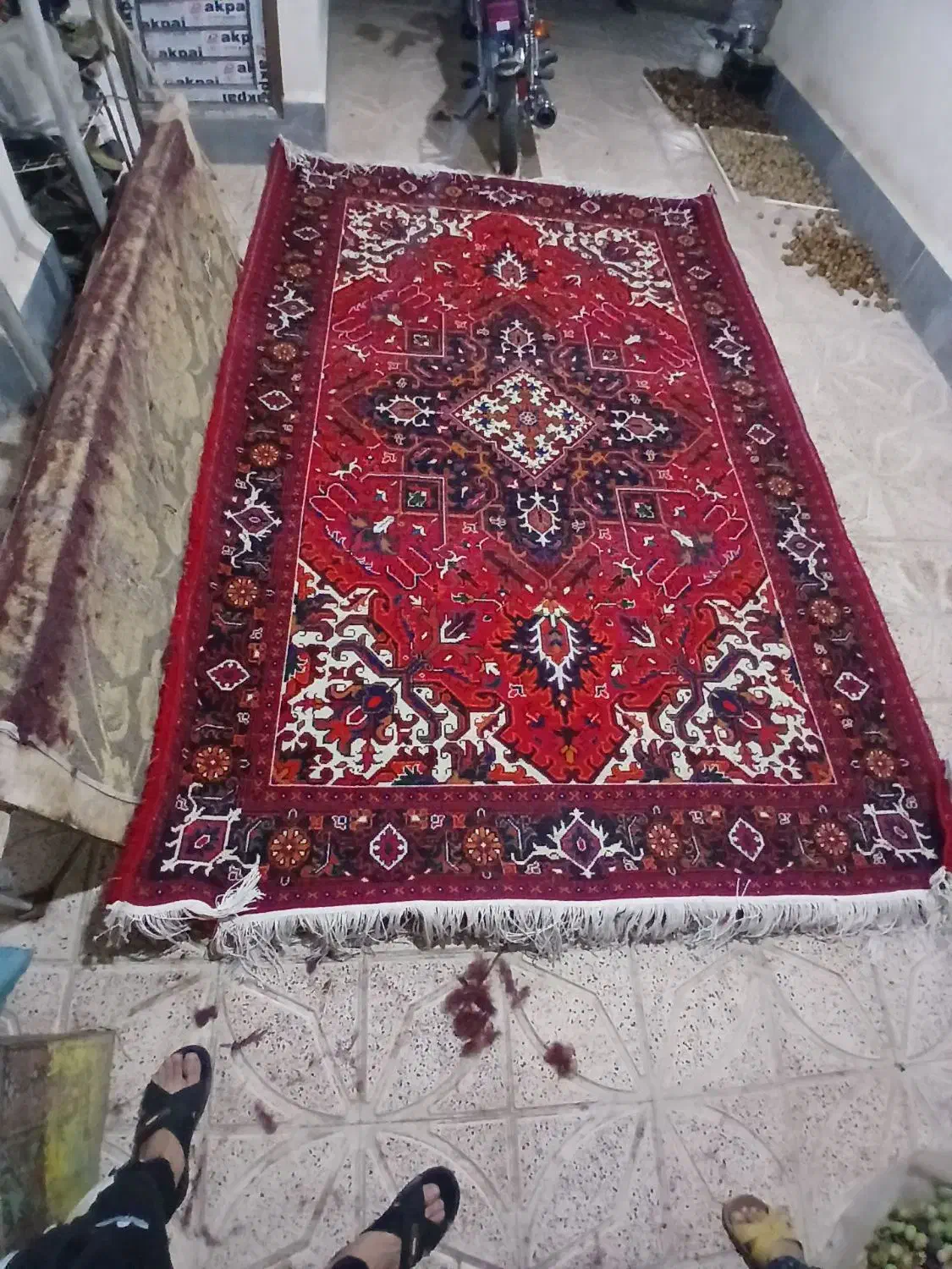 یک جفت هریس الوار6متری|فرش|عجب شیر, |دیوار