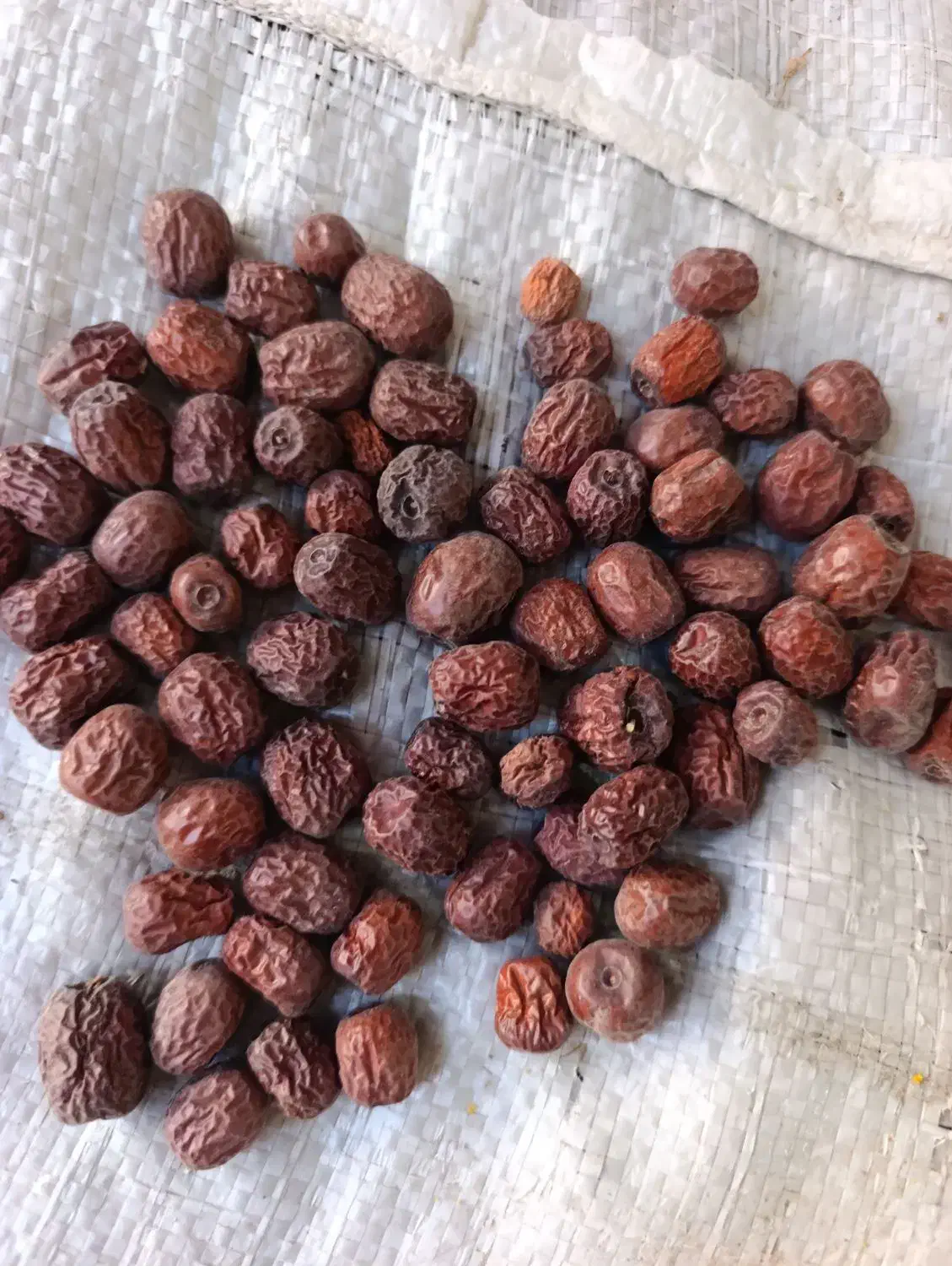 عناب دمنوشی بیرجند بلوار شعبانیه بدون خرابی دارویی|عمدهفروشی|بیرجند, |دیوار