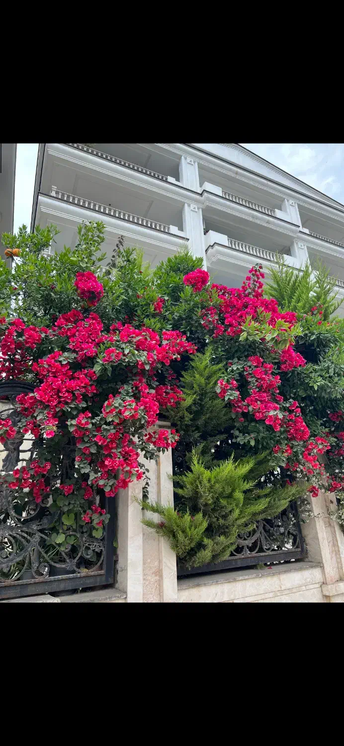 آپارتمان متل قو بهترین لوکیشن|فروش آپارتمان|سلمان‌شهر, |دیوار