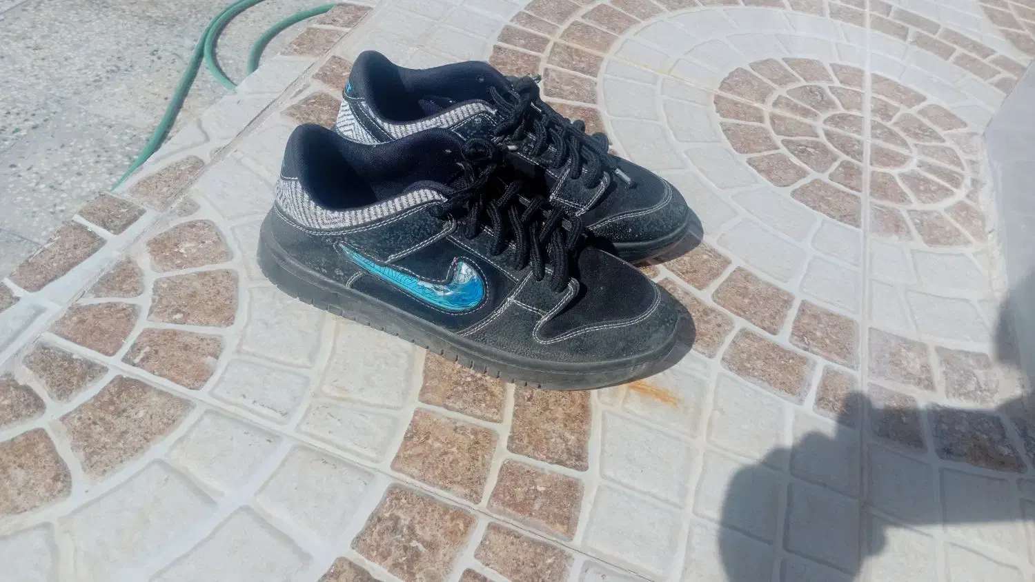 کفش نایک|کیف، کفش، کمربند|شیراز, لب آب|دیوار