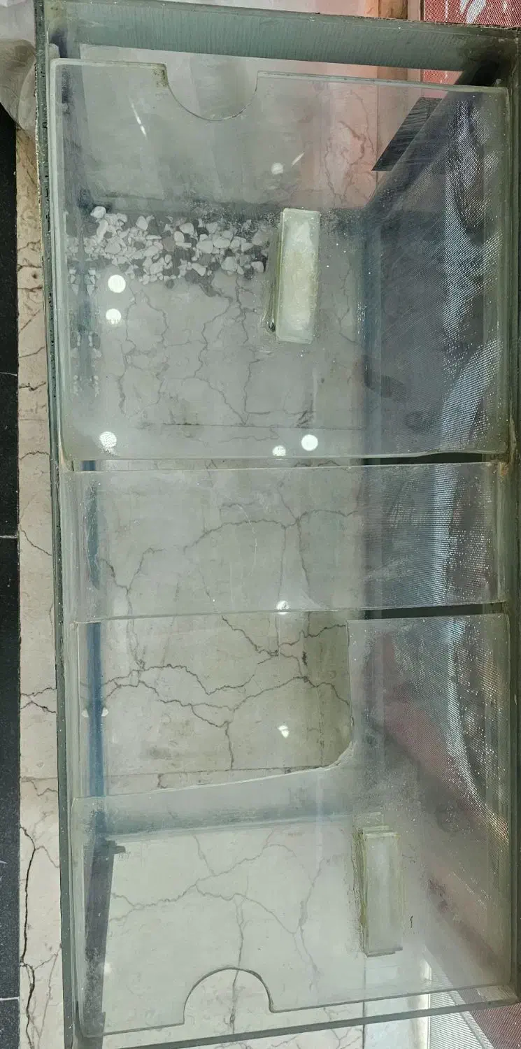 آکواریم کاملا سالم و تمیز|ماهی|تهران, گلستان (شهرک راه آهن)|دیوار