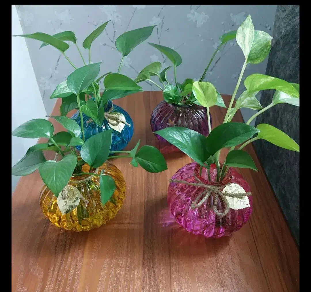 شیشه رنگی|صنایع دستی و سایر لوازم تزئینی|جیرفت, |دیوار