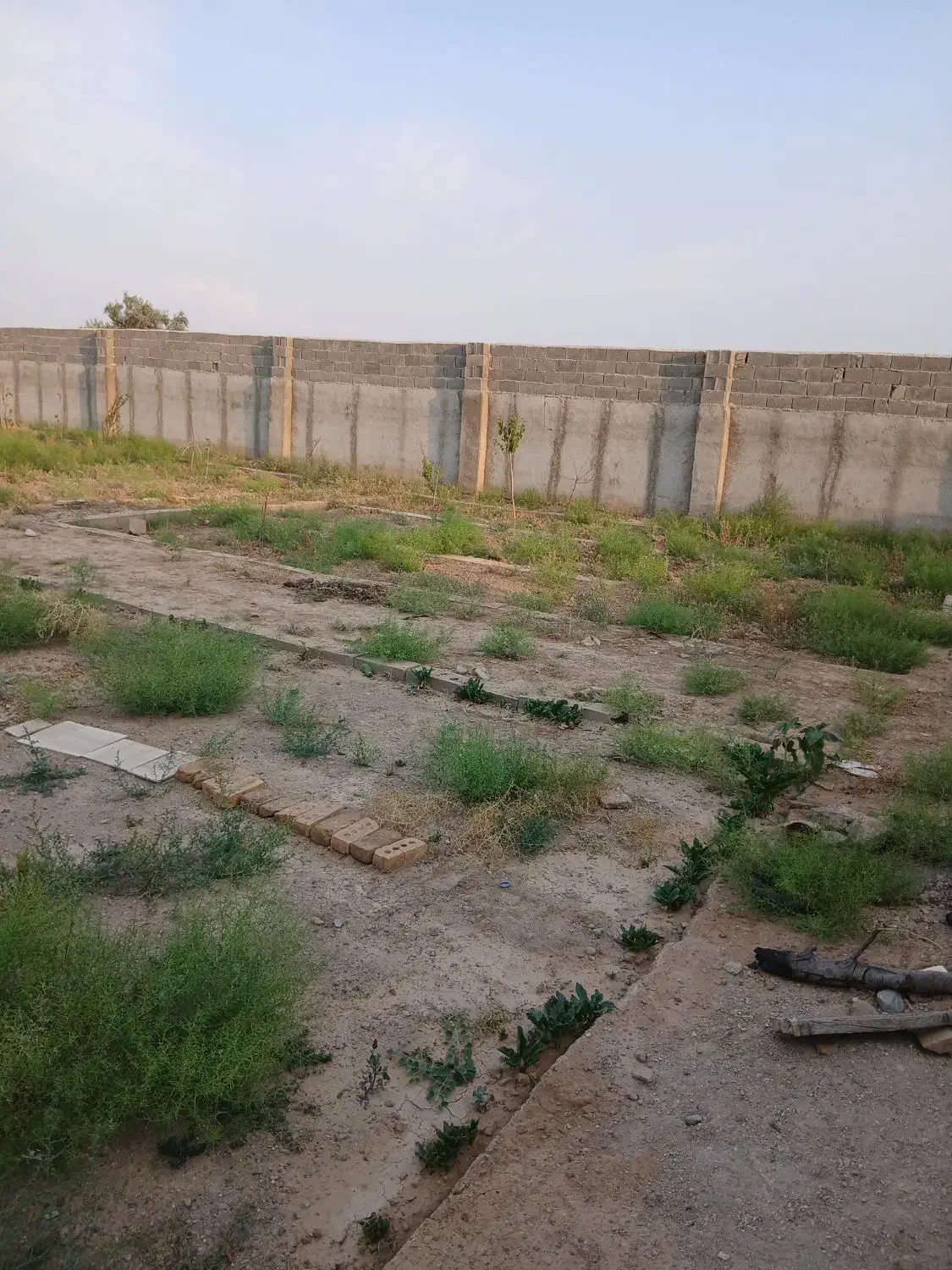 قطعه باغ در علیشاه|فروش خانه و ویلا|شبستر, |دیوار