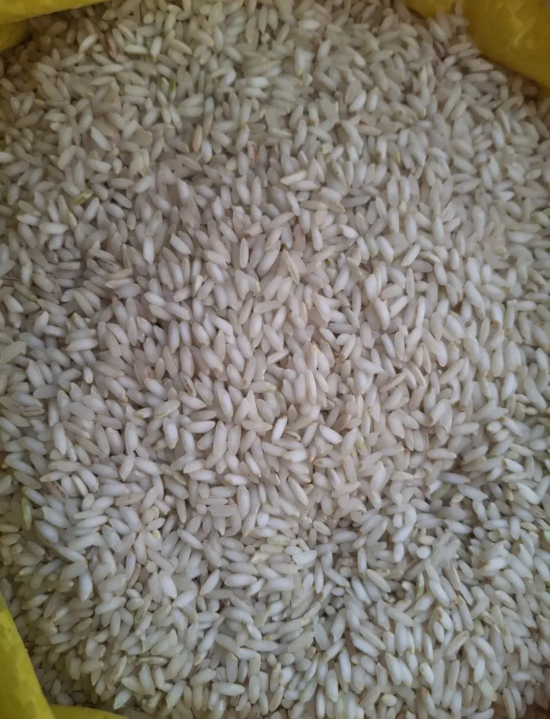 برنج عنبربو|خوردنی و آشامیدنی|دهلران, |دیوار