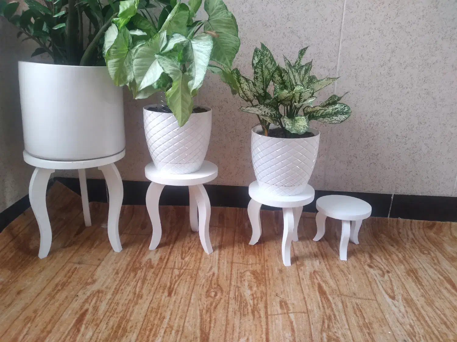 پایه گلدان|گل و گیاه طبیعی|سنقر, |دیوار