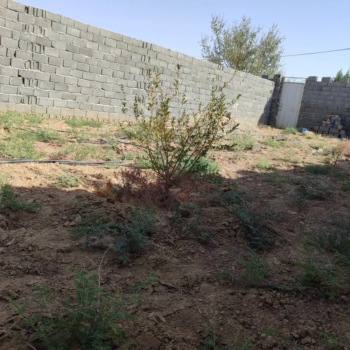 باغ سیدآبادو ۴۱۰ متر|فروش خانه و ویلا|امیرآباد, |دیوار