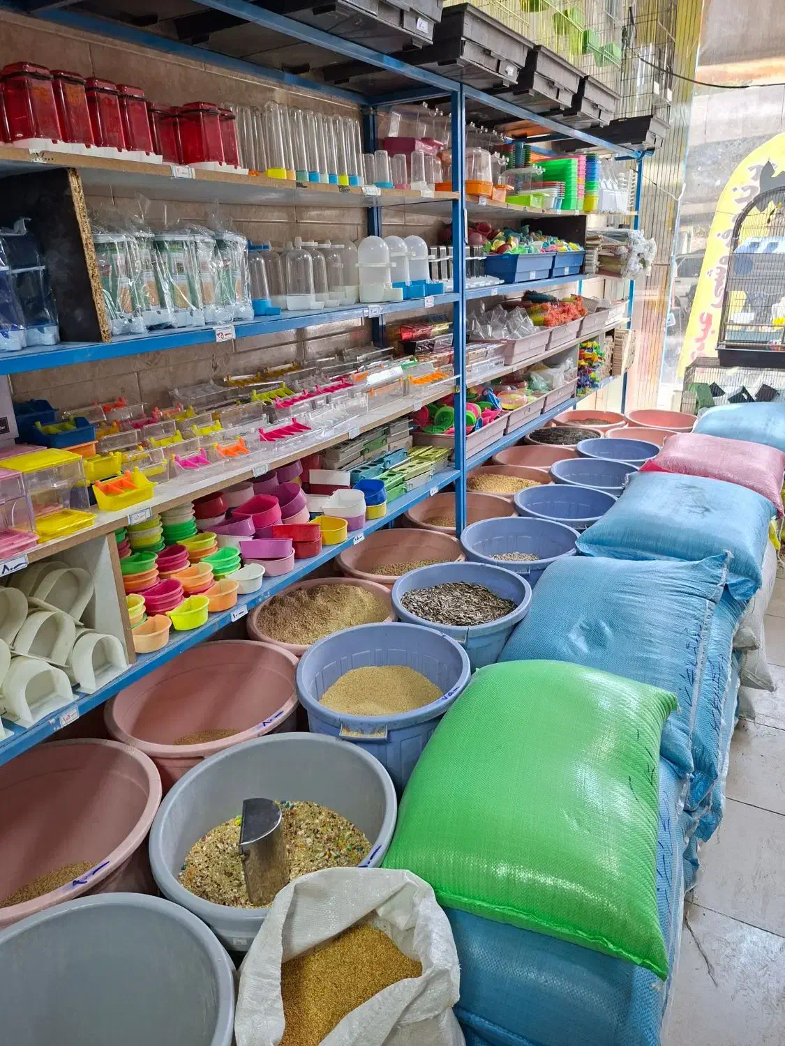 پرنده ...|پرنده|قم, نیروگاه|دیوار