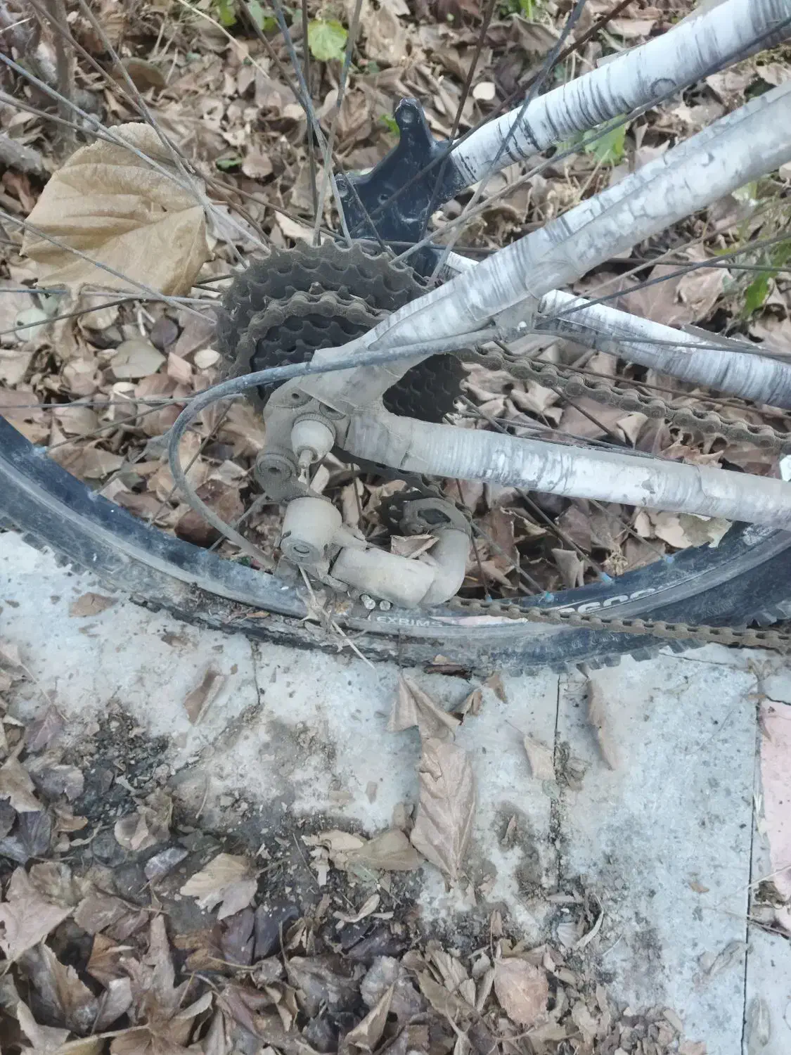 دوچرخه ویوا|دوچرخه، اسکیت، اسکوتر|باسمنج, |دیوار