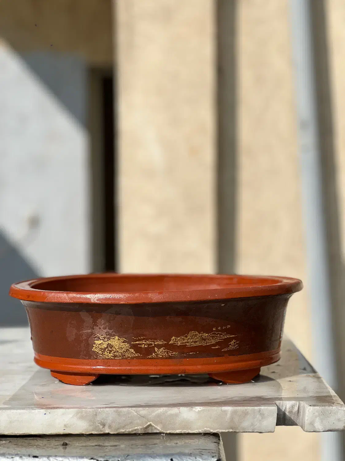 گلدان بنسای|گل و گیاه طبیعی|تهران, ایران|دیوار