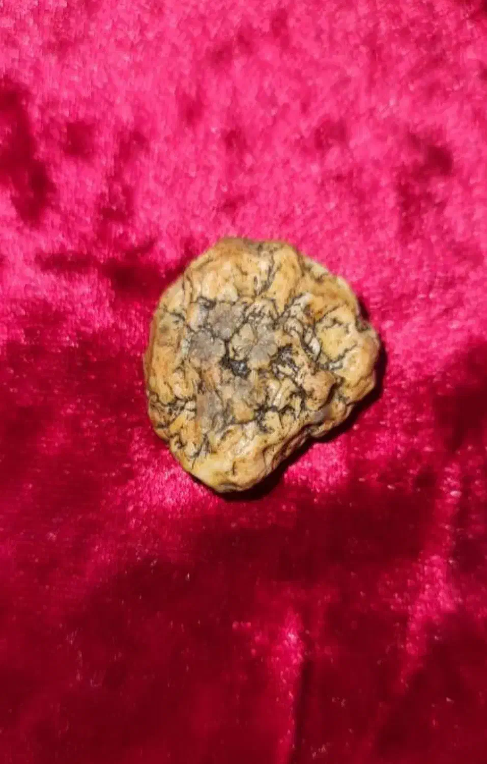 زوعه کهنه و قدیمی|کلکسیون اشیاء عتیقه|اهواز, کمپلو جنوبی|دیوار