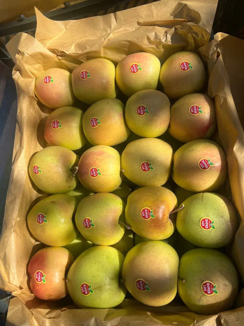 سیب لوکس ترگور|خوردنی و آشامیدنی|صومای برادوست, |دیوار