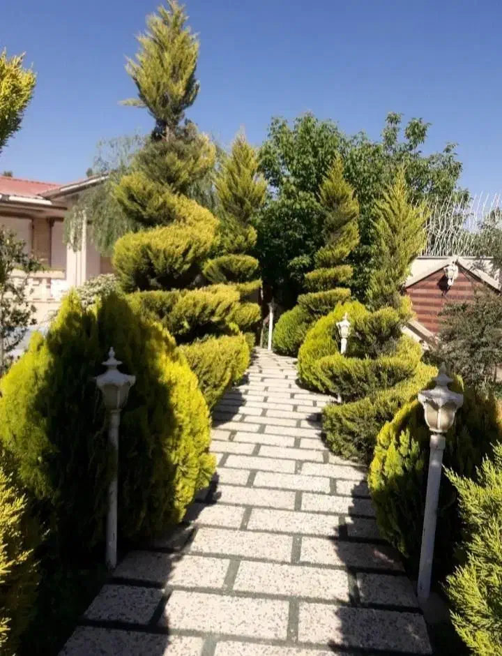 هرس گل و گیاه و رسیدگی باغ و باغچه|خدمات باغبانی و درختکاری|ساری, |دیوار