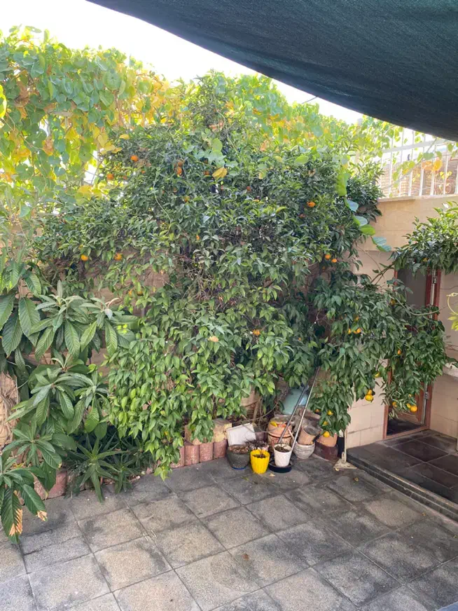 فروش ویلایی دو طبقه سه واحدی|فروش خانه و ویلا|فیروزآباد (فارس), |دیوار