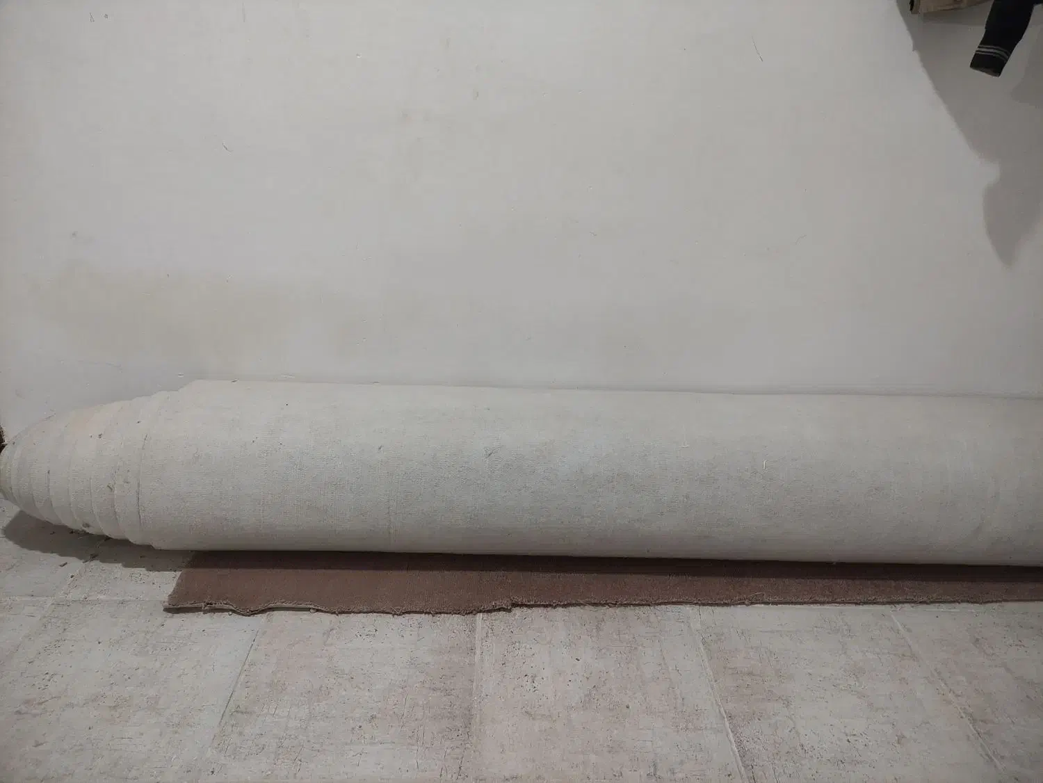 موکت پالاز(حدود۵۵متر مربع)|موکت|ایلام, |دیوار