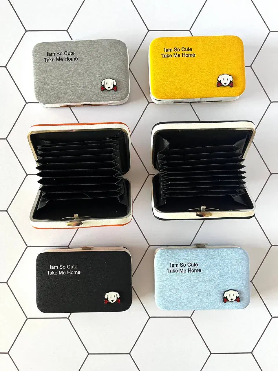 کیف|کیف، کفش، کمربند|اصفهان, سروستان|دیوار