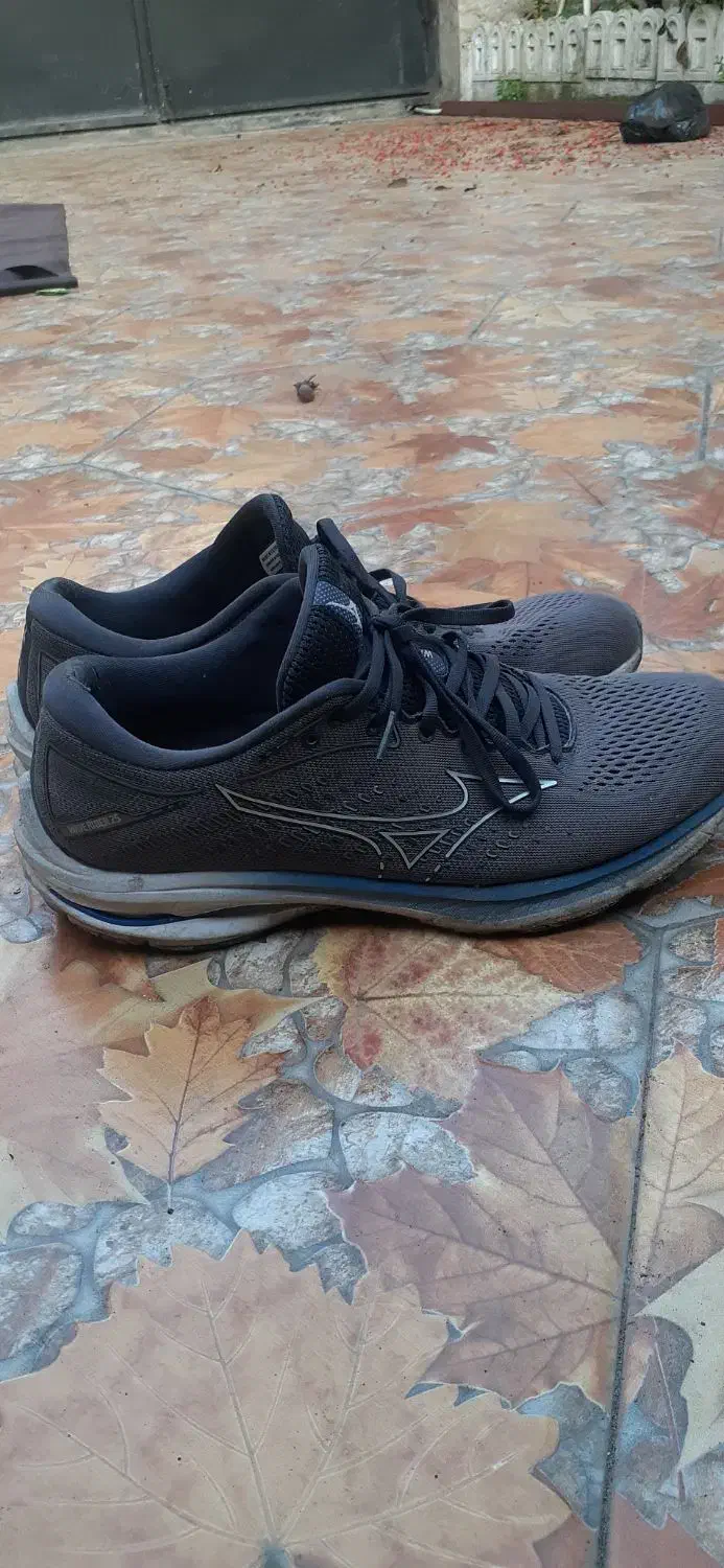 کتانی خارجی میزانو سایز 44|کیف، کفش، کمربند|رودسر, |دیوار