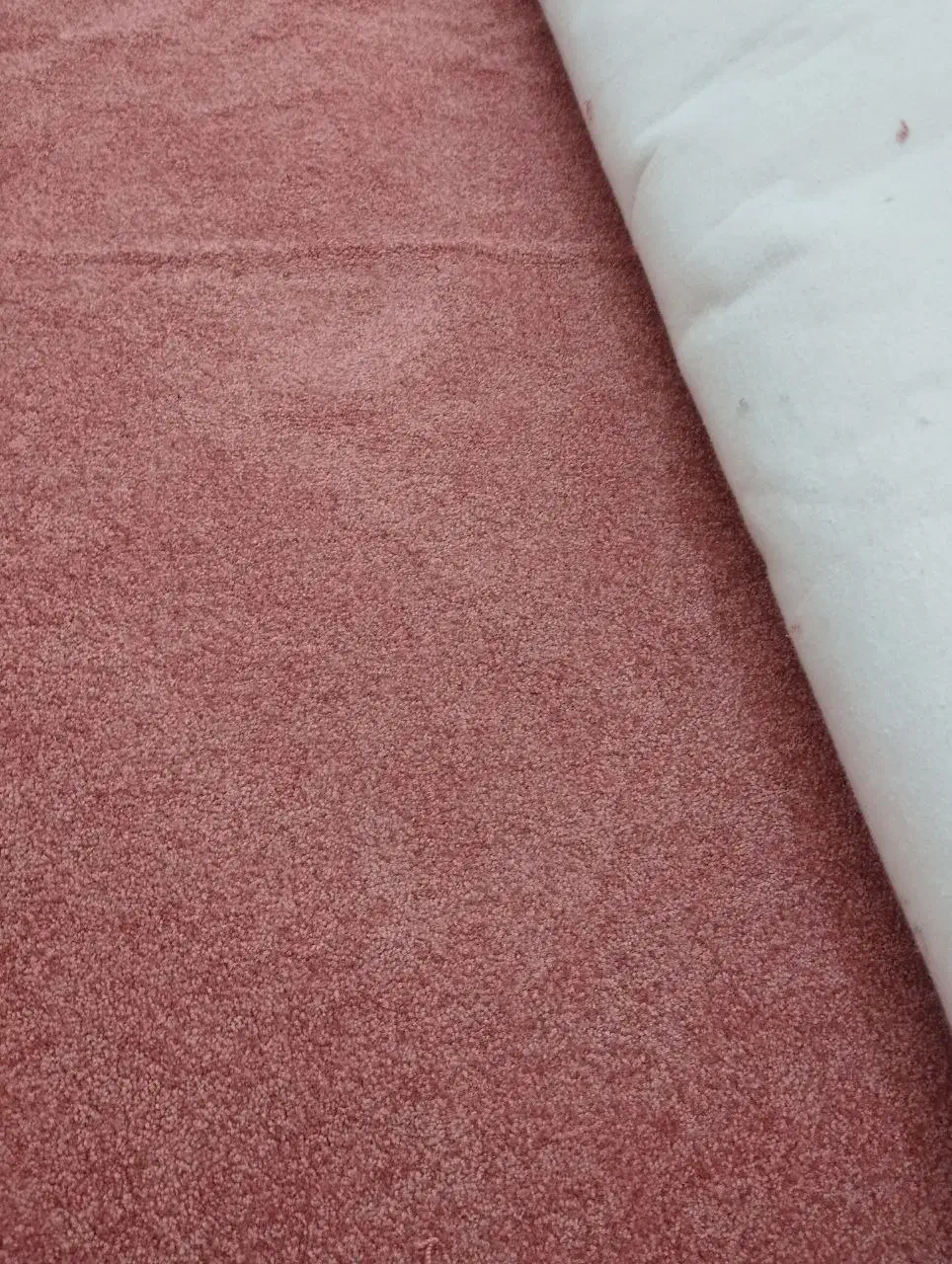 موکت|موکت|قم, نخودی|دیوار