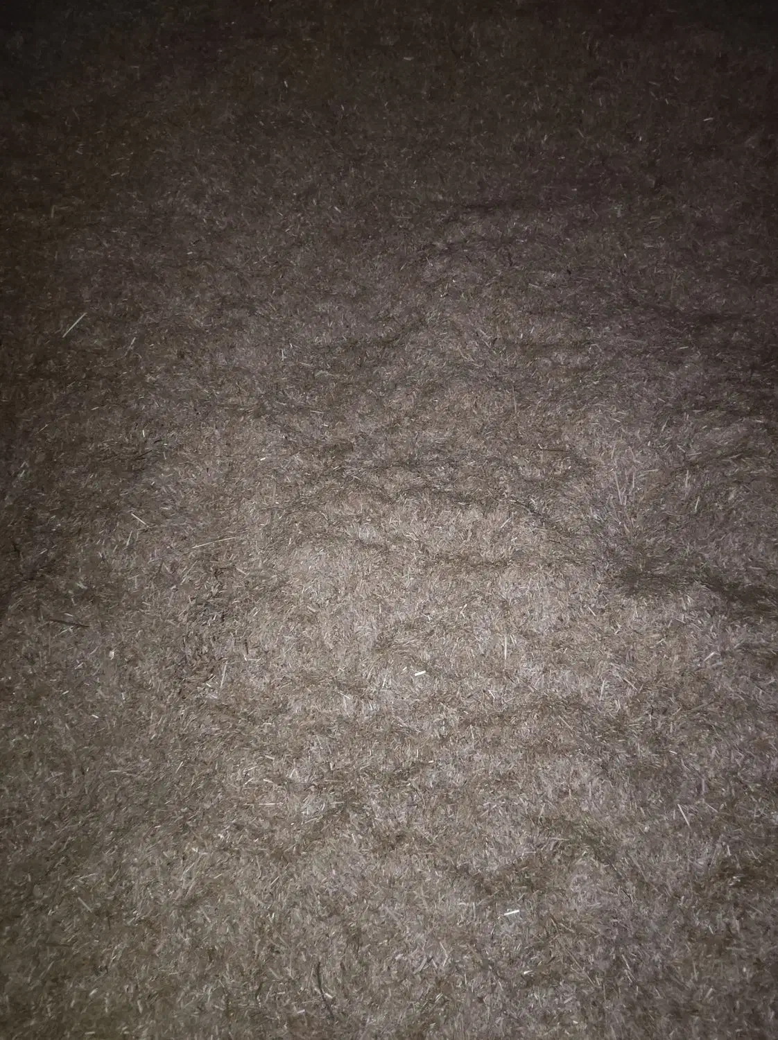 کاه گندم|حیوانات مزرعه|گنبد کاووس, |دیوار