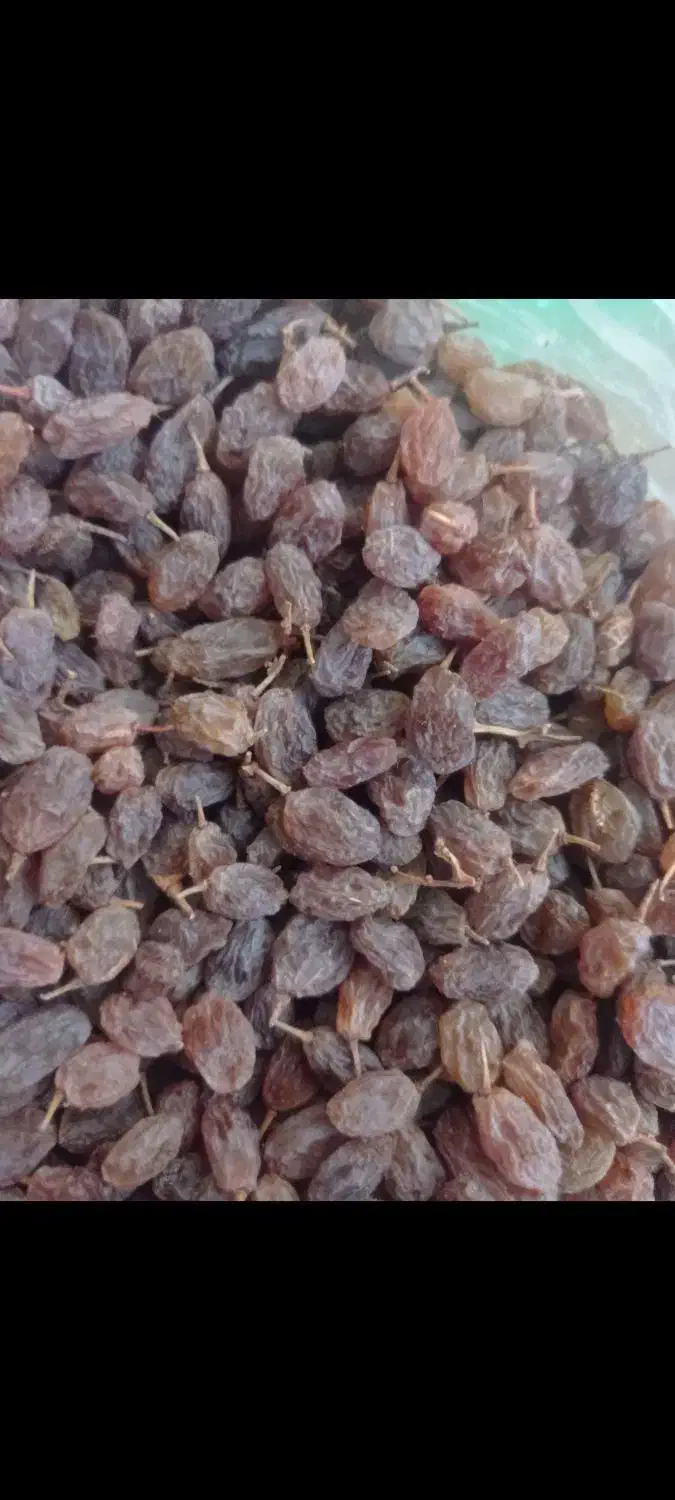 کشمش آبگیری|عمده‌فروشی|خمین, |دیوار