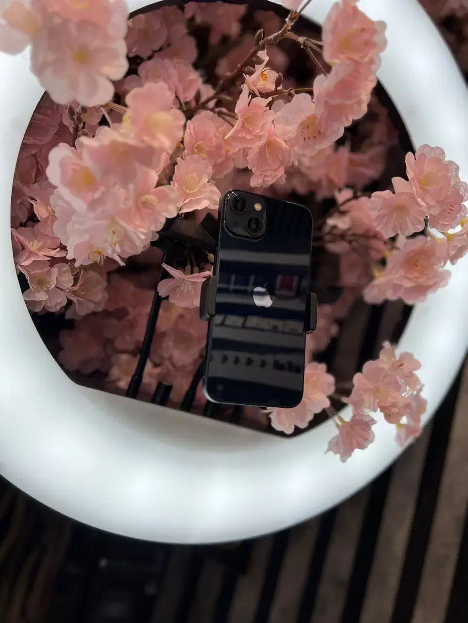 iPhone 13|موبایل|مشهد, طلاب|دیوار