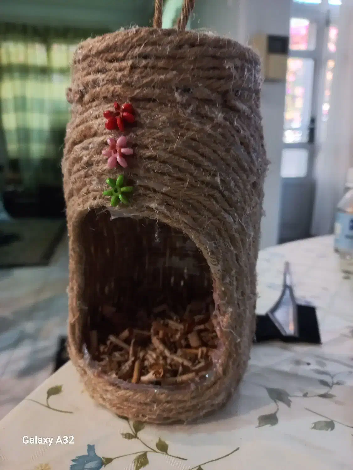 لانه کوتوله برزیلی و طوطی سانان|لوازم جانبی حیوانات|قائمشهر, |دیوار