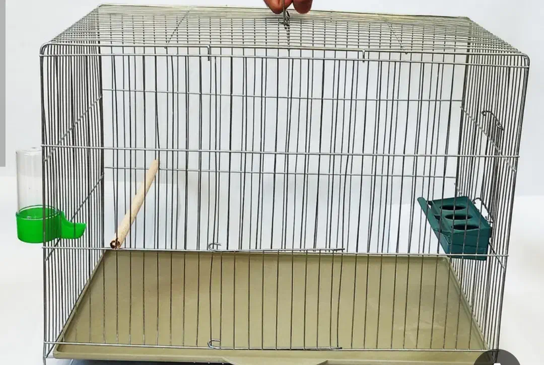 قفس ۳۰در۵۰|لوازم جانبی حیوانات|کرمان, |دیوار