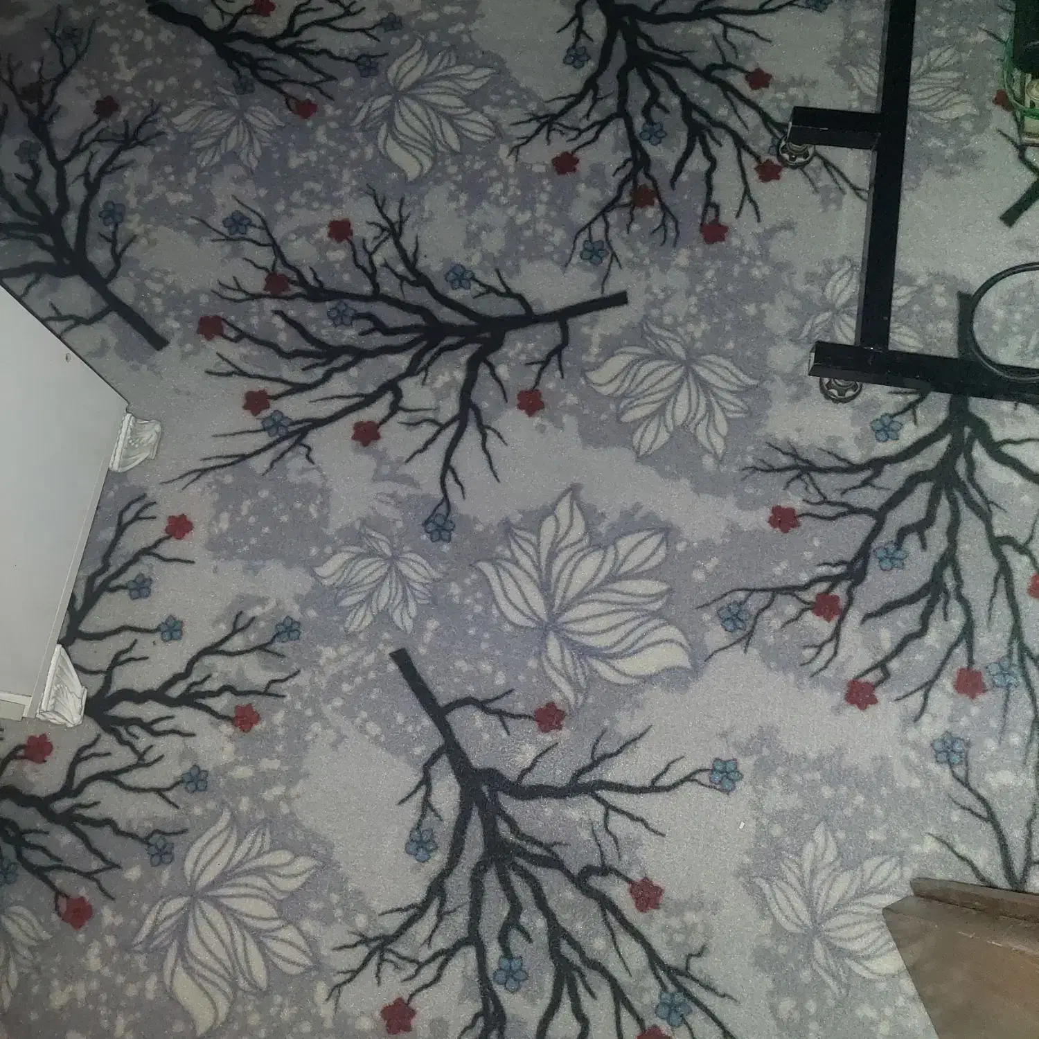 موکت|موکت|اصفهان, فردوان|دیوار