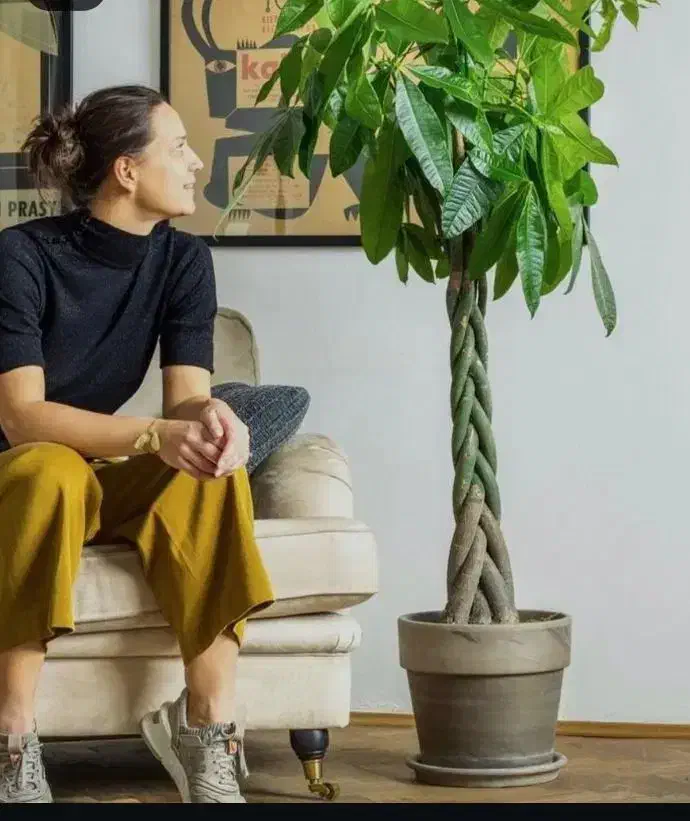 165 متــر/ تکــواحدی / حاشیه هاشمـیه / یونیک و خاص|فروش آپارتمان|مشهد, چهارچشمه|دیوار