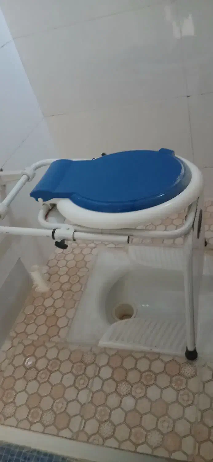 توالت فرنگی تمیز دیواری تاشو|لوازم سرویس بهداشتی|نیشابور, گنبد سبز|دیوار