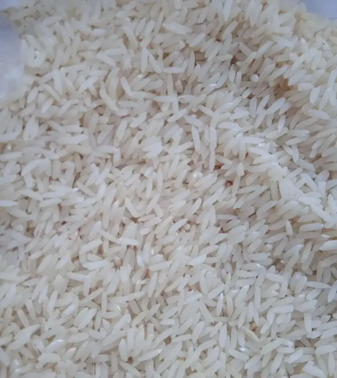 برنج هاشمی اصل دره رود|خوردنی و آشامیدنی|پارسآباد, |دیوار