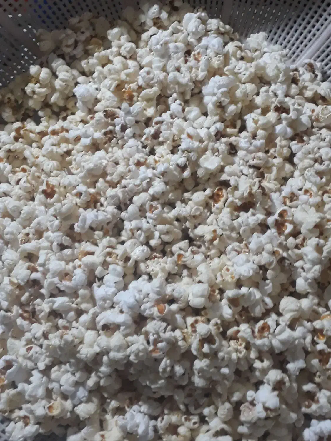 ذرت پفیلا ایرانی|خوردنی و آشامیدنی|تاتار علیا, |دیوار