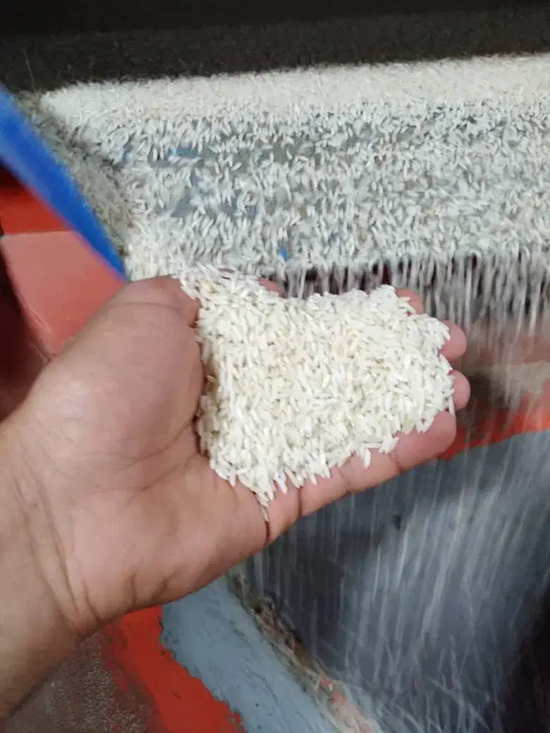 برنج علی کاظمی درجه ۱ازاب چشمه|خوردنی و آشامیدنی|احمدسرگوراب, |دیوار