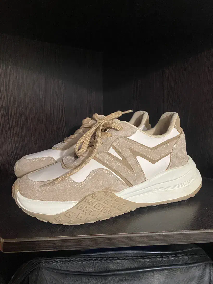 کتونی|کیف، کفش، کمربند|گنبد کاووس, |دیوار