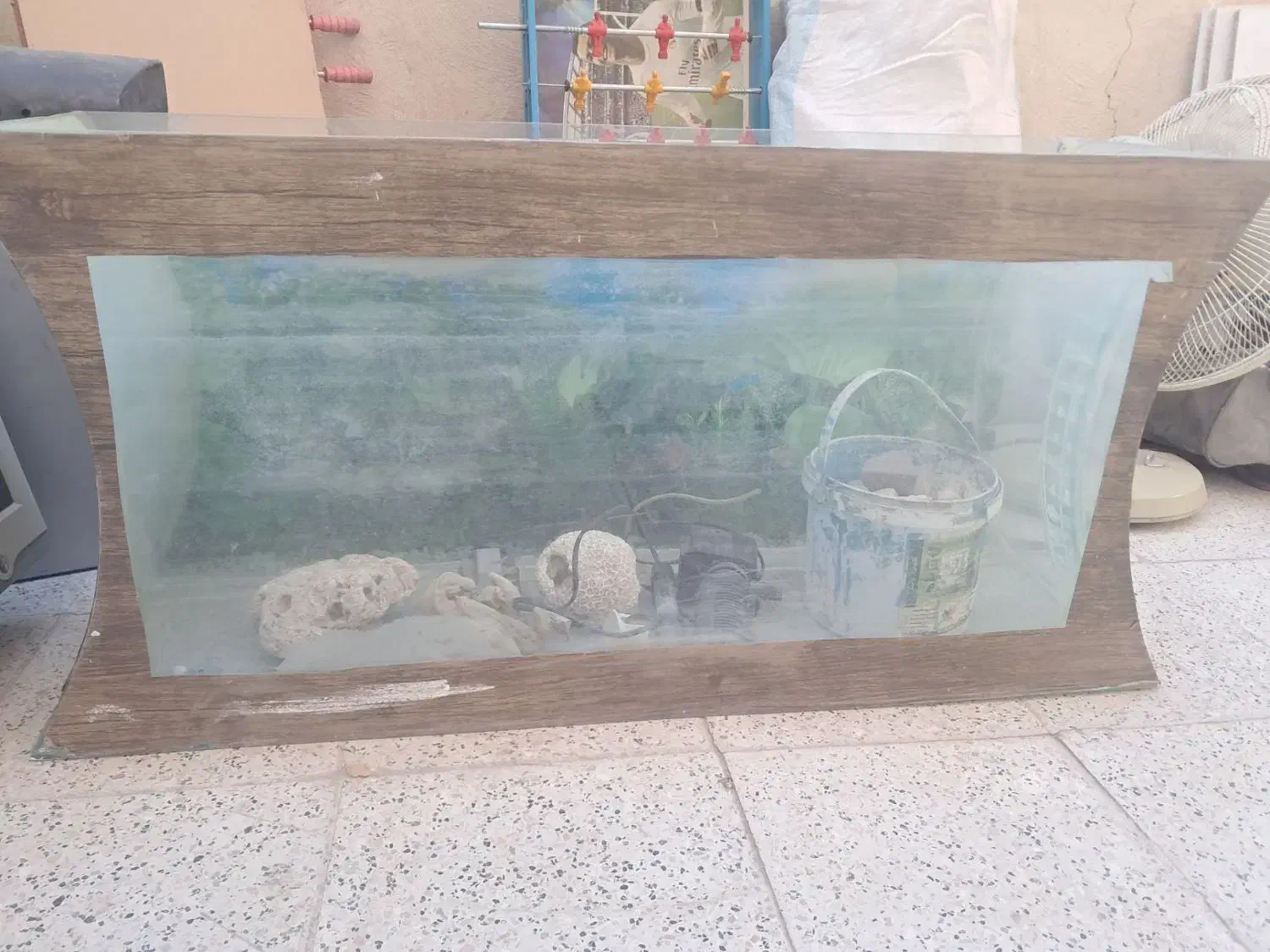 اکواریوم و سینما خانواده|ماهی|مشهد, شهرک بهارستان|دیوار