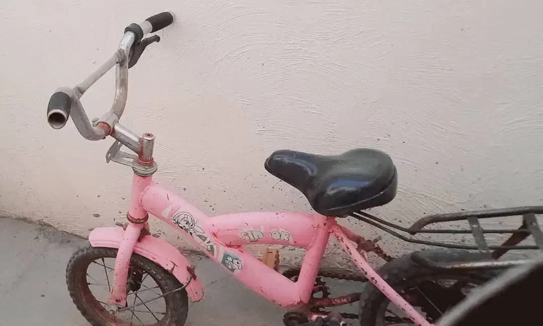 دوچرخه|دوچرخه، اسکیت، اسکوتر|زاهدان, |دیوار