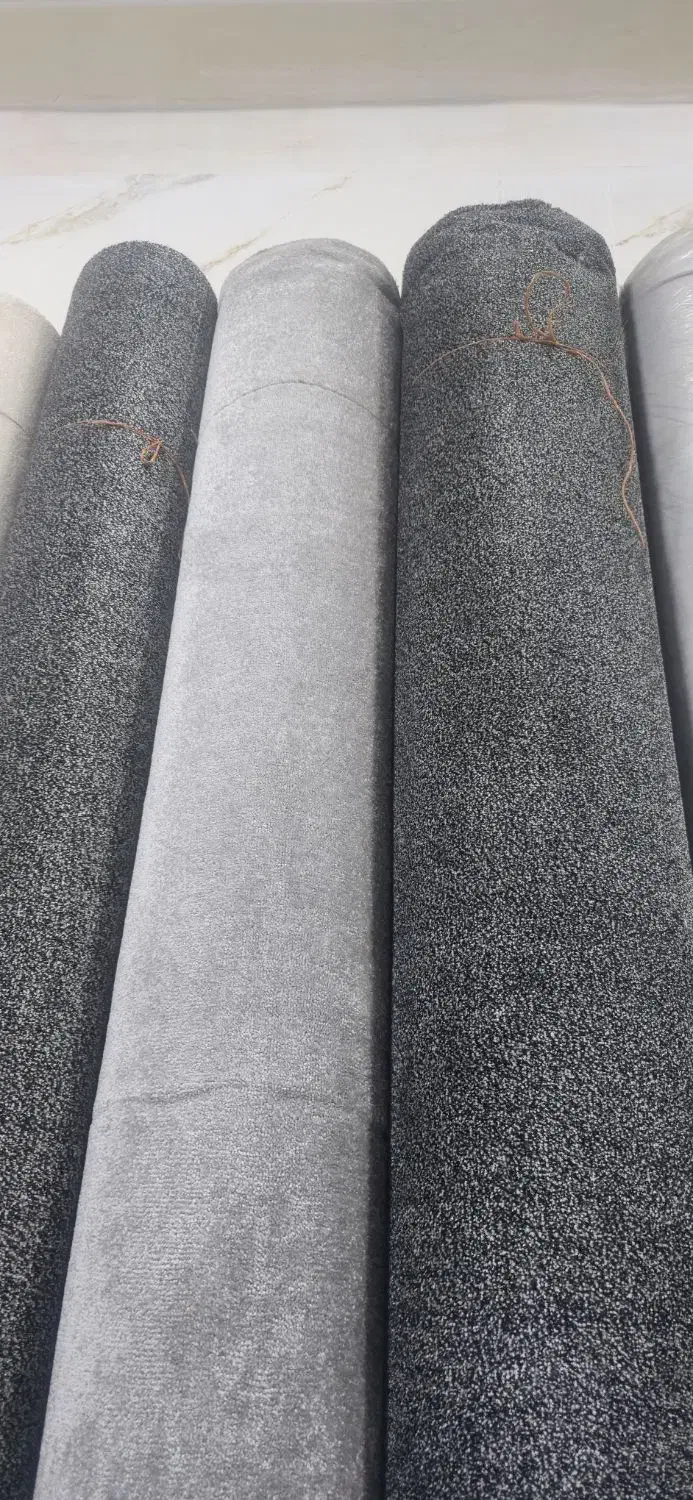 موکت ضخیم پالاز|موکت|تهران, فلسطین (میدان انقلاب)|دیوار