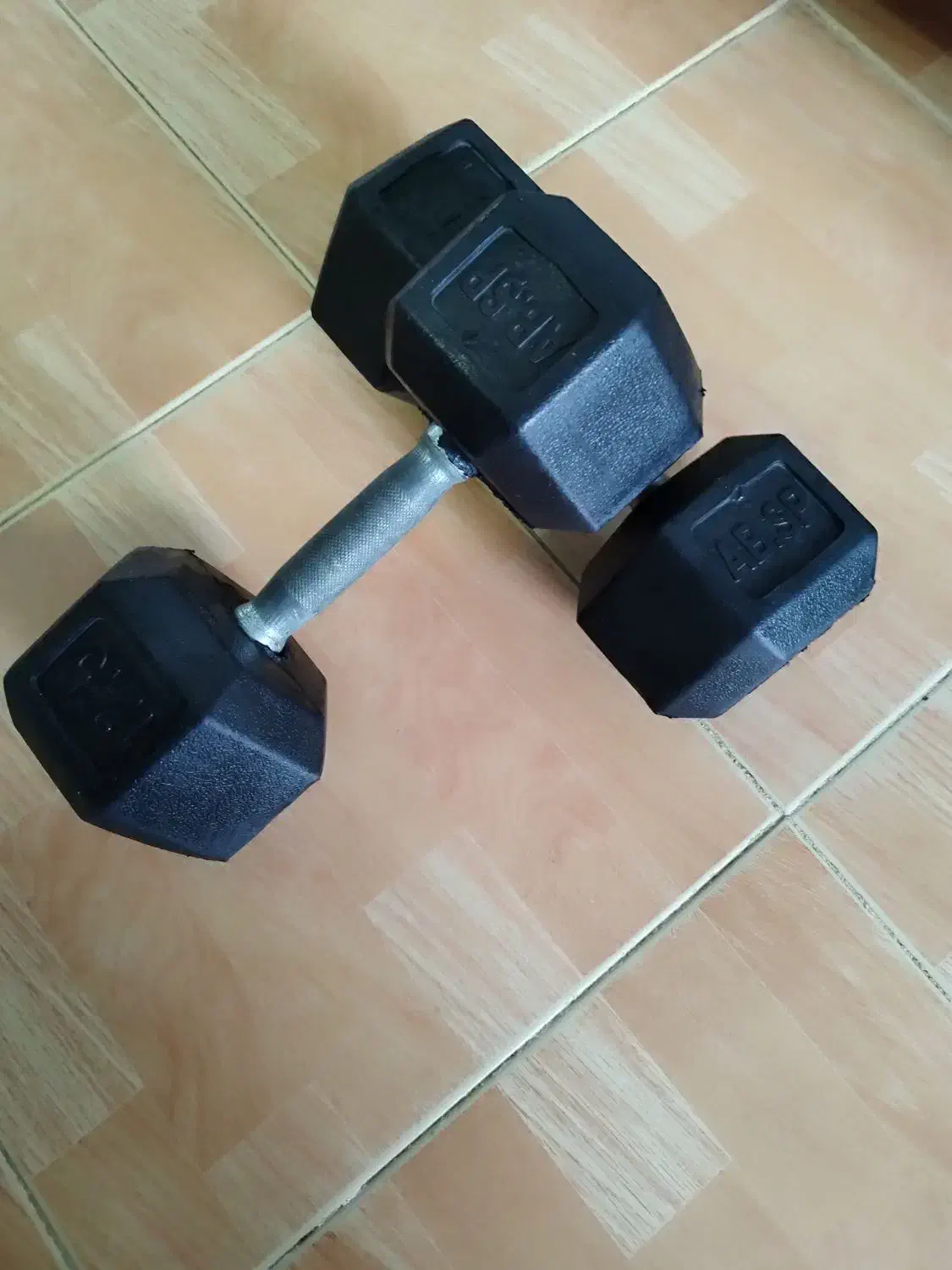 دمبل|تجهیزات ورزشی|بندر انزلی, جهانگانی|دیوار