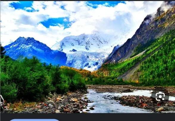 پیاده روی و ورزش|فعالیت داوطلبانه تحقیقاتی|تهران, شهرآرا|دیوار