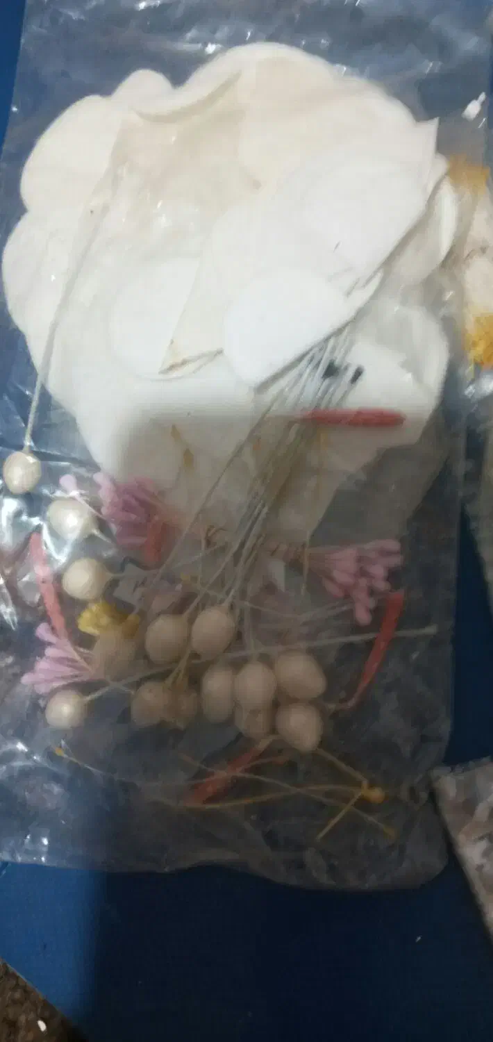 لوازم گل سازی|گل و گیاه طبیعی|تهران, فرودگاه مهرآباد|دیوار