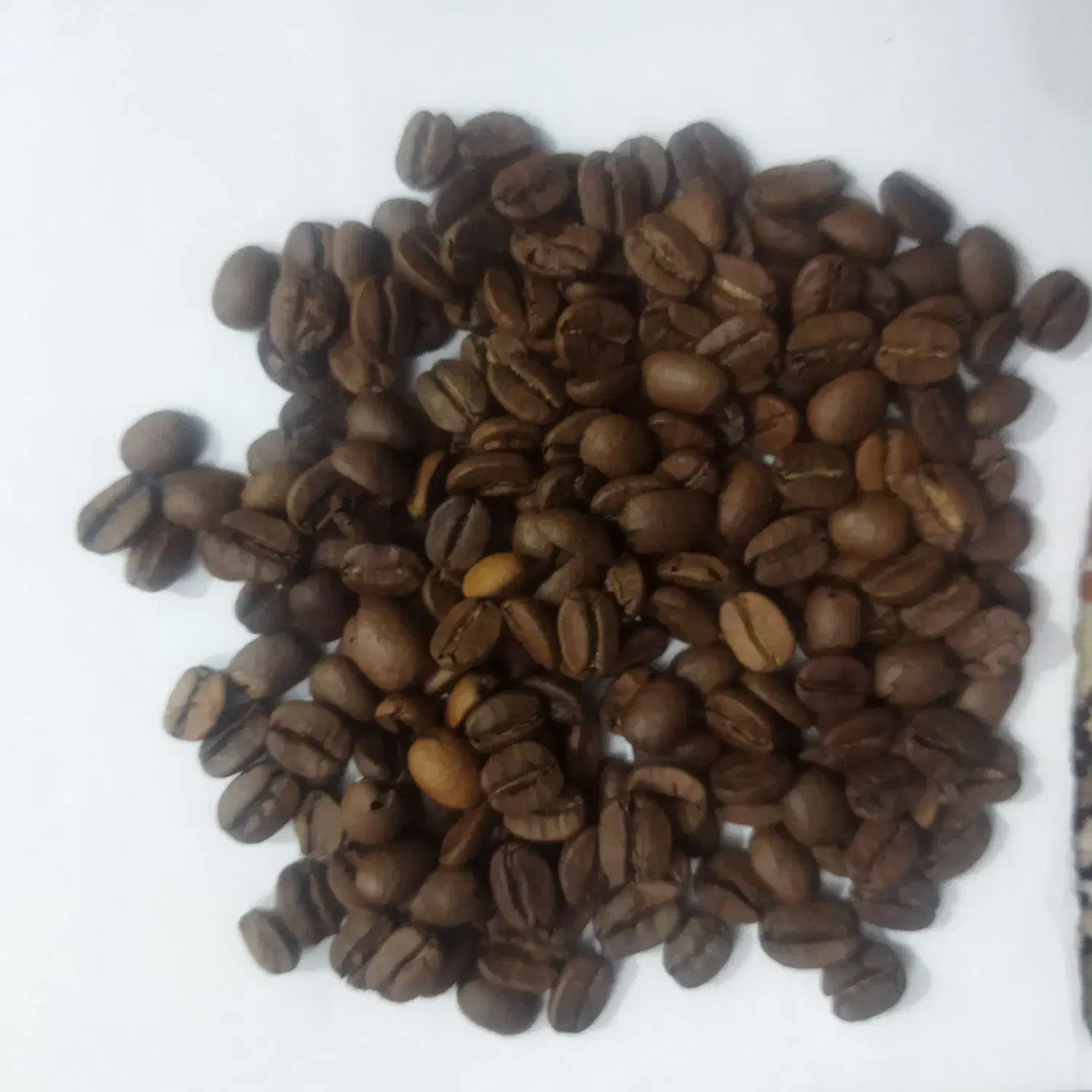 فروش انواع قهوه درجه یک|عمدهفروشی|نهاوند, |دیوار