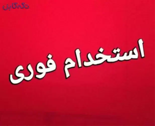 همکاری جهت مونتاژ اسباب بازی|استخدام صنعتی، فنی، مهندسی|سهند, |دیوار