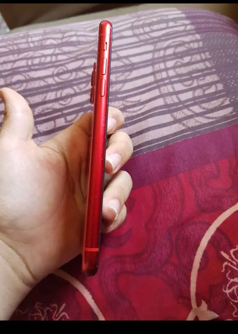 اپل 11 نرمال 256 گیگ رنگ قرمز|موبایل|خرمشهر, |دیوار