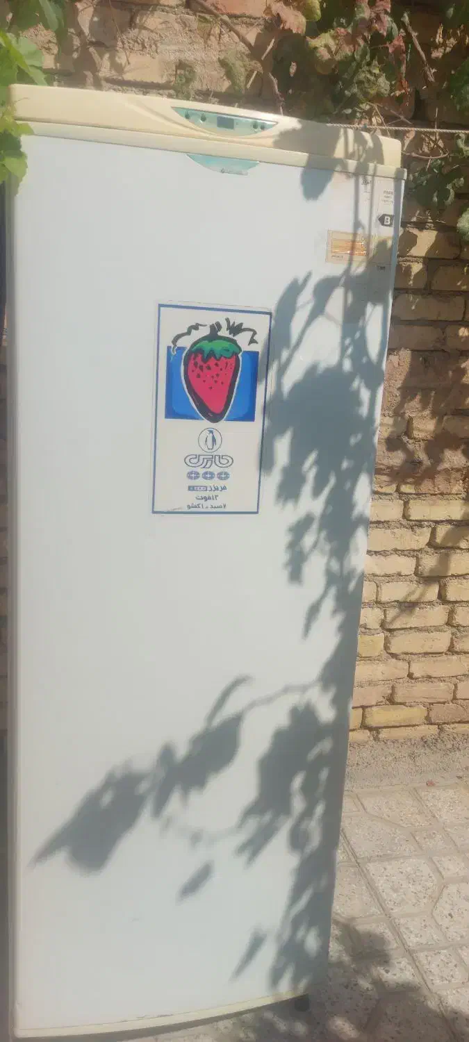 یخچال برفاب و فریزر|یخچال و فریزر|فلاورجان, |دیوار