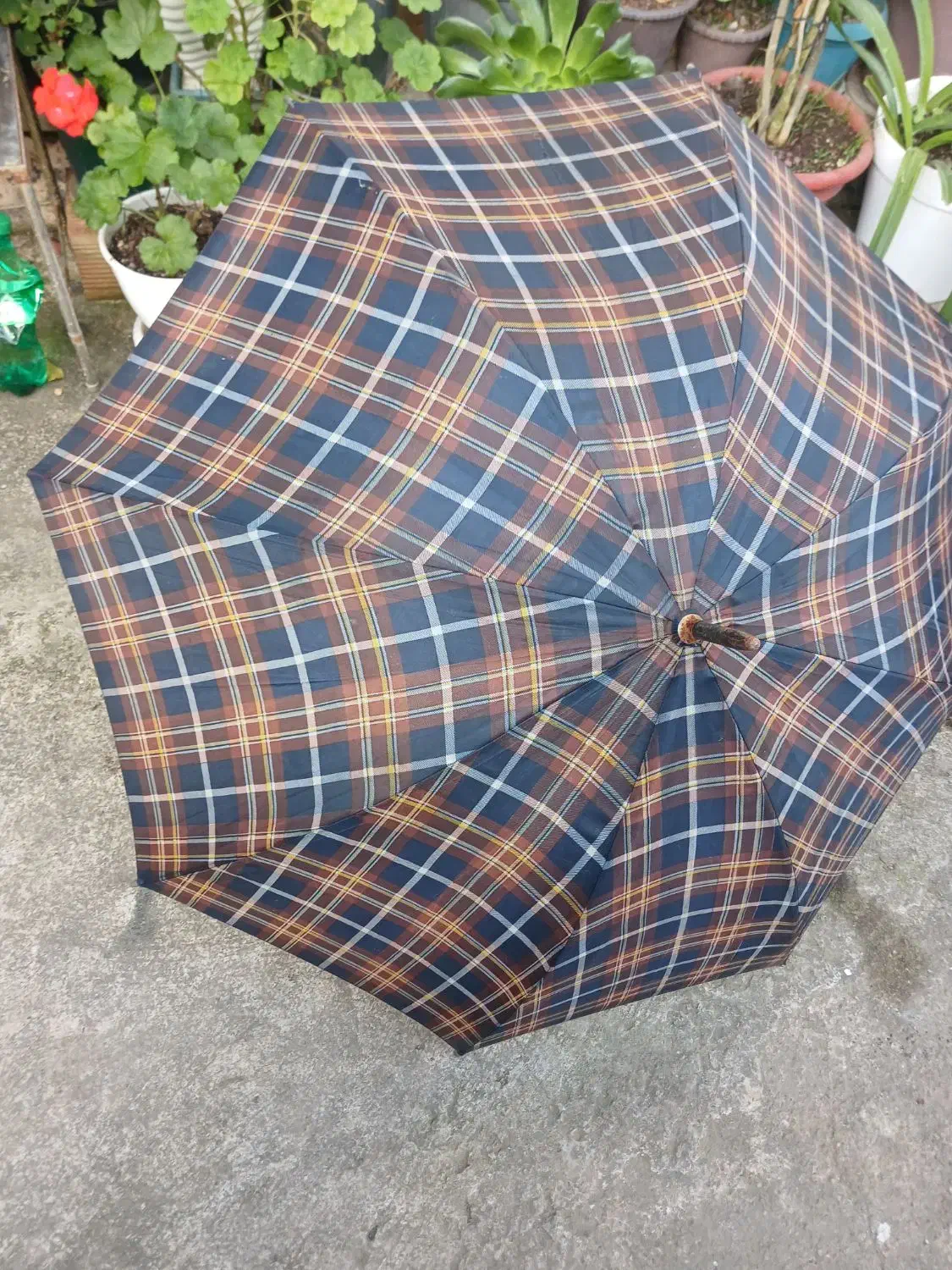 چتر|زیورآلات و اکسسوری|آستارا, |دیوار