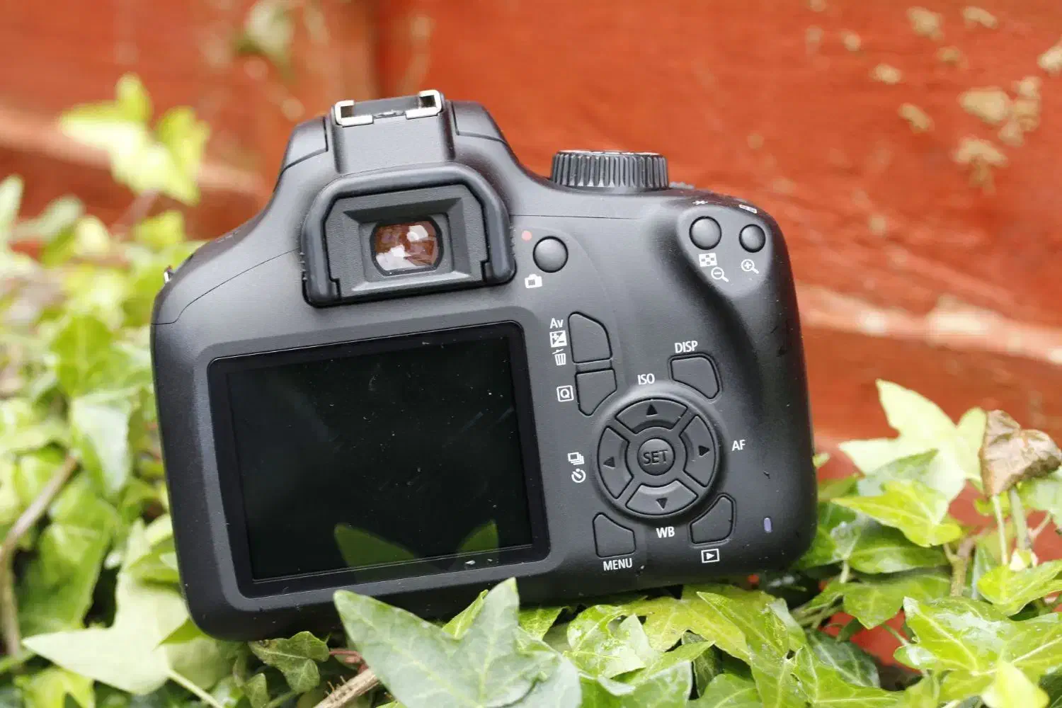 فروش دوربین Canon D4000 سالم و آماده استفاده|دوربین عکاسی و فیلم‌برداری|تهران, تهرانسر شمالی|دیوار